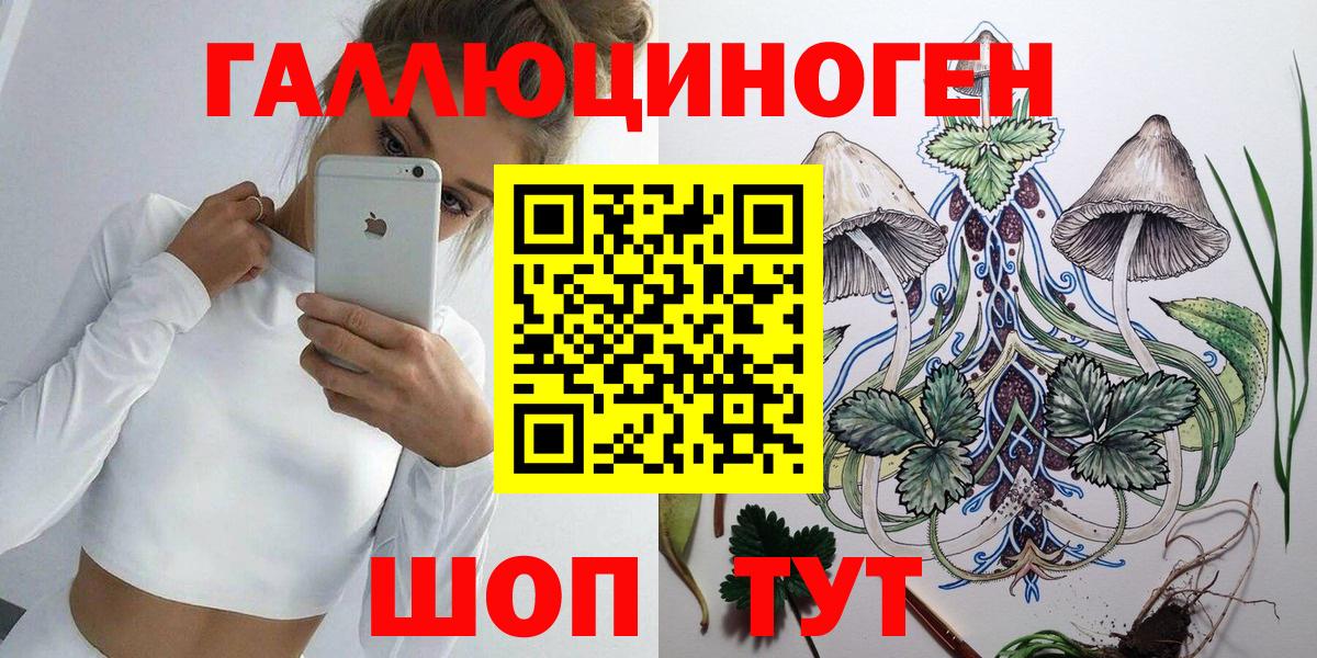Псилоцибиновые грибы Psilocybe  Вход с VPN  Усинск  Псилоцибиновые грибы Psilocybine cubensis 
