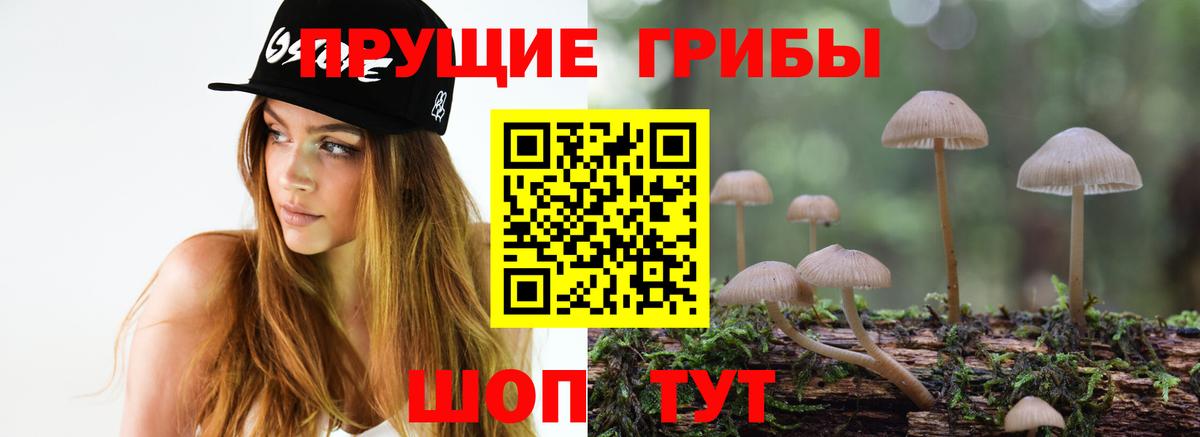Галлюциногенные грибы GOLDEN TEACHER Усинск